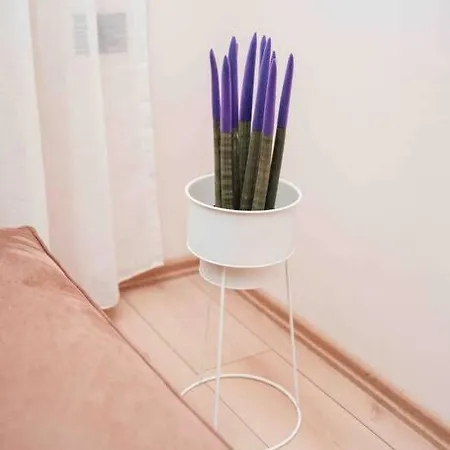 Drago House, City Center Location Apartamento